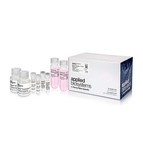 53755. KIT DE SECUENCIACION DE CICLOS BIGDYE TERMINATOR, V1.1 - INVITROGEN