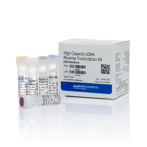55392. KIT DE TRANSCRIPCION INVERSA DE ADNC DE GRAN CAPACIDAD 1000 REACCIONES  - APPLIED BIOSYSTEMS