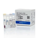 10539. KIT DE TRANSCRIPCION INVERSA DE ADNC DE ALTA CAPACIDAD 200 REACCIONES - APPLIED BIOSYSTEMS