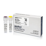 4465. KIT DE RNA-TO-CDNA DE ALTA CAPACIDAD 50 REACCIONES - APPLIED BIOSYSTEM