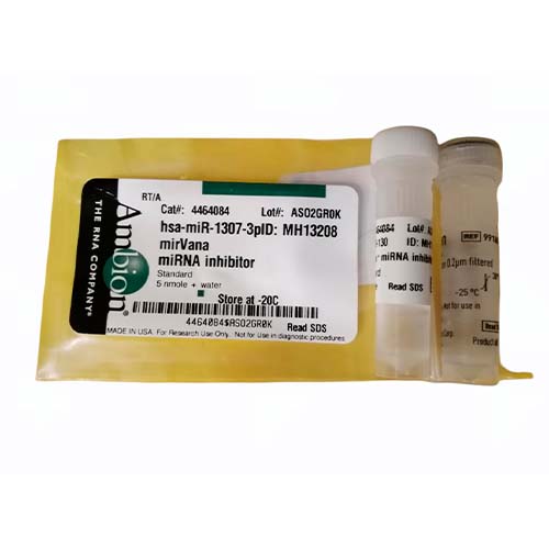 12145. INHIBITOR DE MIARN MIRVANA, CONTROL NEGATIVO #1  5NMOL - INVITROGEN