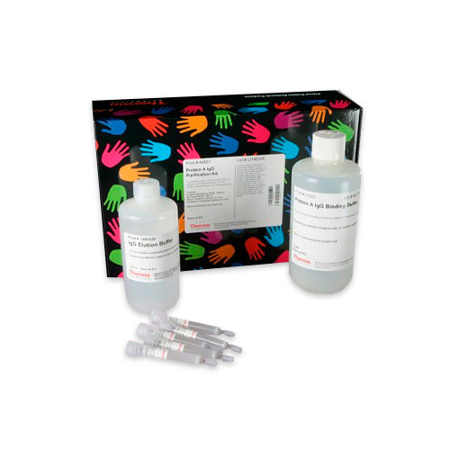 53245. PROTEIN A IGG PURIFICATION KIT 1ML 5 COLUMNS - PIERCE