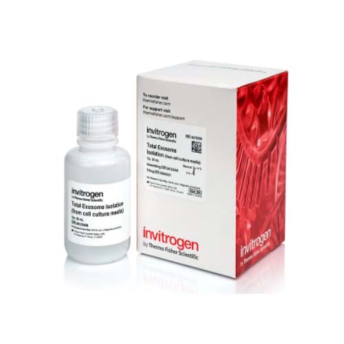 20942. REACTIVO DE AISLAMIENTO DE EXOSOMAS TOTALES (MEDIOS DE CULTIVO CELULAR) 50ML - INVITROGEN