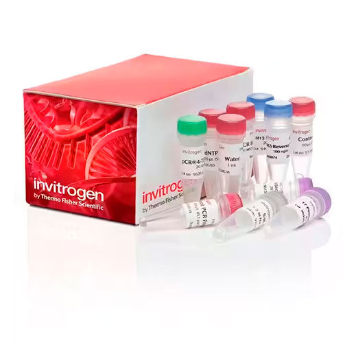 20920. KIT P/SECUENCIACION SIN CELULAS COMPETENTES TOPO TA CLONING 25 REACCIONES - INVITROGEN