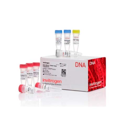 20921. KIT DE CLONACION DE PCR TOPO ZERO BLUNT SIN CELULAS COMPETENTES 25 REACCIONES - INVITROGEN