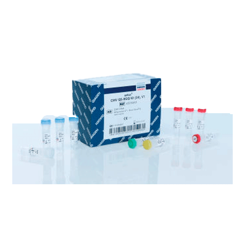 25277. ARTUS CMV PCR KITS CE FOR QUANTITATIVE DETECTION OF CYTOMEGALOVIRUS DNA USING REAL-TIME PCR 96 REACCIONES QIAGEN