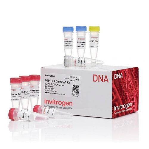 53520. KIT TOPO TA CLONING P/SUBCLONACION SIN CELULAS COMPETENTES 25 REACCIONES - INVITROGEN