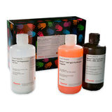 53345. KIT DE PURIFICACION DE IGG MONOCLONAL EN GEL MELON 200ML - PIERCE