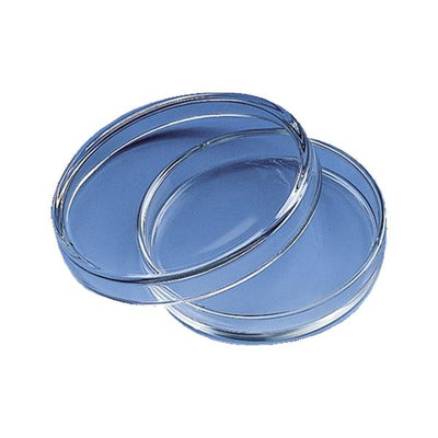 2024. CAJA PETRI DE VIDRIO 80X15MM - BRAND