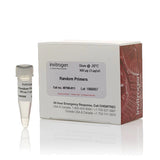 53518. PRIMERS ALEATORIOS 9U - INVITROGEN