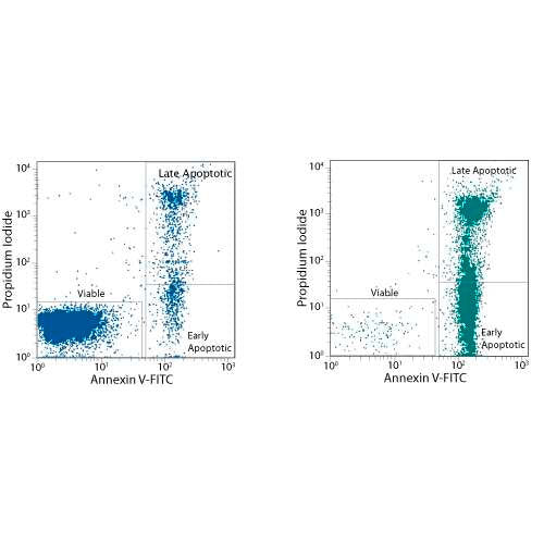 26644. TACS ANNEXIN V-FITC APOPTOSIS DETECTION KIT 125 TESTS R&D SYSTEMS