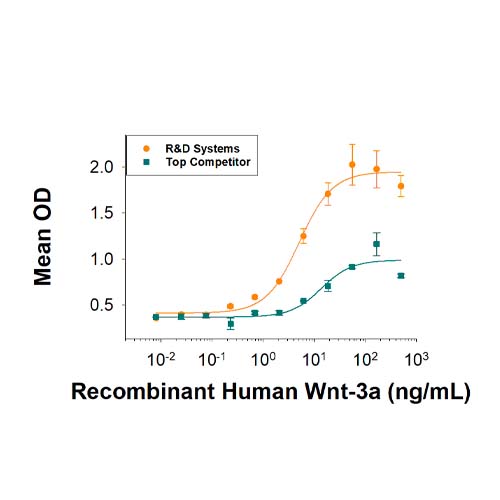 22002. RECOMBINANT HUMAN WNT-3A PROTEIN 10UG - R&D SYSTEMS