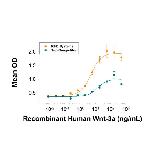 15850. RECOMBINANT HUMAN WNT-3A 10UG - R&D SYSTEMS