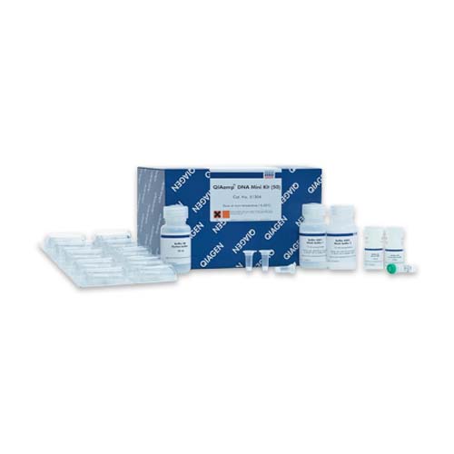 54044.  KIT DE PURIFICACION DE ADN 50 PREPS - QIAGEN