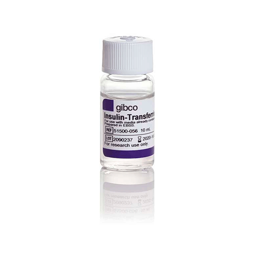 26912. INSULINA TRANSFERRINA SELENIO-X (100X) 10ML GIBCO