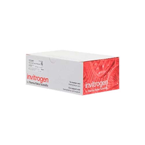 55455.KIT COMPLETO T-REX C/PCDNA 4/TO VECTOR  - INVITROGEN