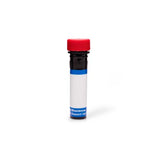 20261. PE RAT ANTI-HUMAN IGG1 CLONE A85-1 (RUO) 0.1MG - BD PHARMIGEN