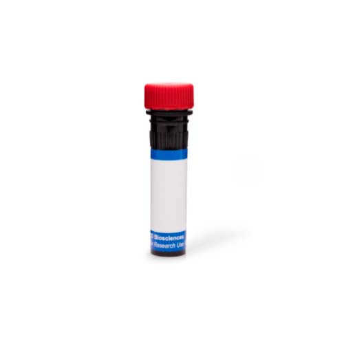 20261. PE RAT ANTI-HUMAN IGG1 CLONE A85-1 (RUO) 0.1MG - BD PHARMIGEN