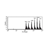55778. CBA HUMAN TH1/TH2 CYTOKINE KIT II  80 TESTS BD PHARMINGEN