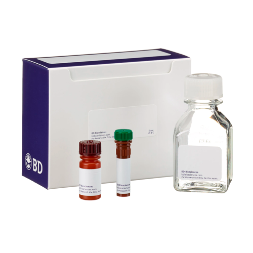 5407. FITC ANNEXIN V APOPTOSIS DETECTION KIT (RUO) 100 PRUEBAS - BD PHARMINGEN