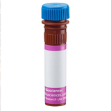 5404. RAT ANTI-MOUSE CD4 CLONE RM4-5 PACIFIC BLUE 0.1MG - BD PHARMINGEN