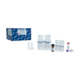 54033. KIT DE PURIFICACION DE ARN O ADN VIRAL DE PLASMA, SUERO Y FLUIDOS CORPORALES LIBRES DE CELULAS 50 MINIPREPS - QIAGEN
