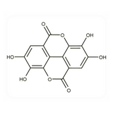 18517. STD ELLAGIC ACID 100MG - EXTRASYNTHESE