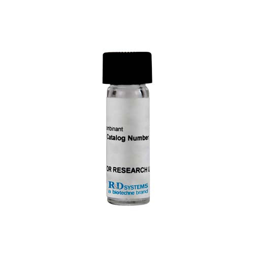 22003. RECOMBINANT HUMAN ADENOSYLHOMOCYSTEINEASE/AHCY PROTEIN CF 10UG - R&D SYSTEMS