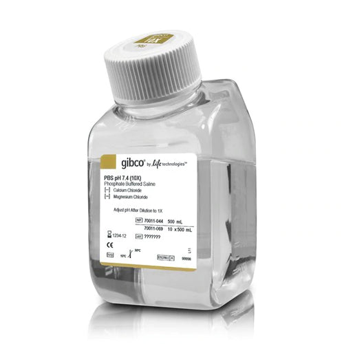 53424. PBS (SOLUCION SALINA TAMPONADA CON FOSFATO) 10X, PH 7.4 500ML - GIBCO