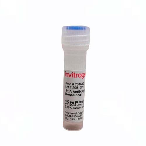 6401. PSA RECOMBINANT RABBIT MONOCLONAL ANTIBODY (4H23L24) 100UG - INVITROGEN