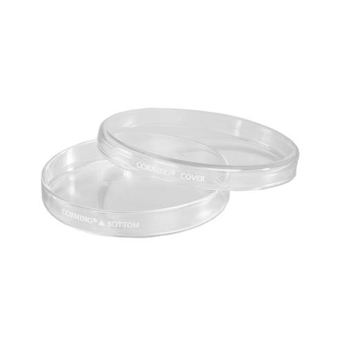 15280. CAJA PETRI 150X20MM DE VIDRIO COMPLETA NO ESTERIL PAQUETE C/5 PIEZAS - PYREX