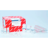 53978.  KIT DE PURIFICACION RAPIDA RNEASY PLUS 50 PREPARACIONES QIAGEN