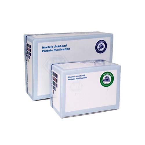 15562. NUCLEOSPIN PLASMID 250 PREPS - MACHEREY-NAGEL