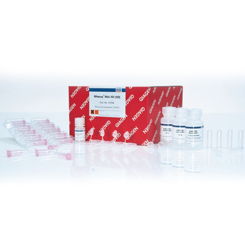 54092. KIT DE EXTRACCION DE ARN 250 PREPS - QIAGEN