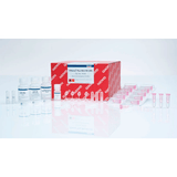 53979. MINI KIT DE PURIFICACION RAPIDA RNEASY PLUS 50 PREPARACIONES QIAGEN