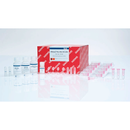 25801. MINI KIT DE PURIFICACION RAPIDA RNEASY PLUS 50 PREPARACIONES QIAGEN