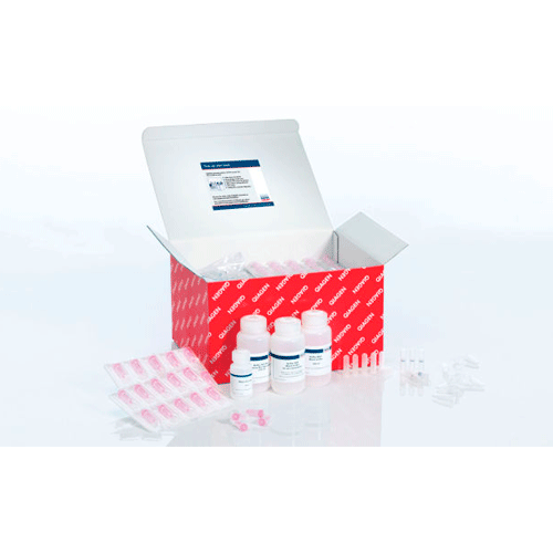 53928. MINI KIT RNEASY PLUS P/PURIFICACION DE ARN TOTAL DE CELULAS Y TEJIDOS 250 MINIPREPS QIAGEN