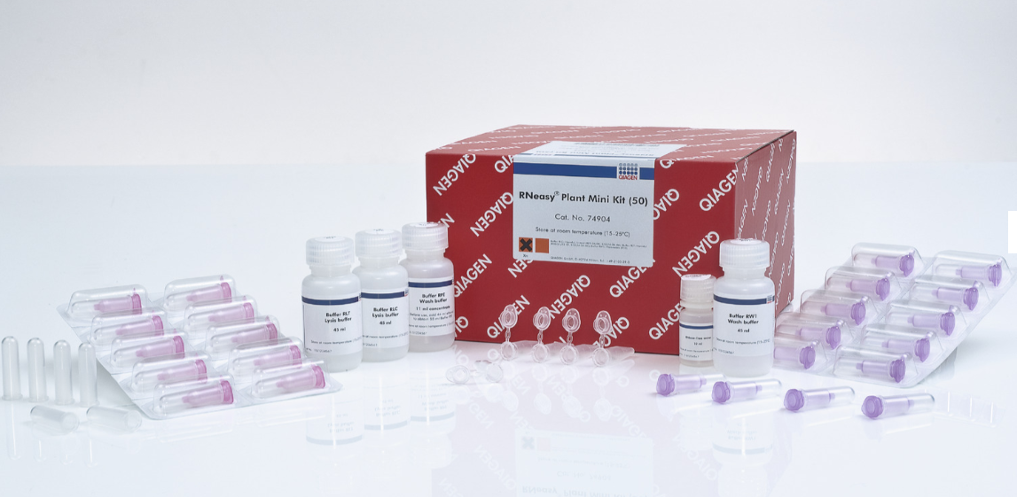 6342. KIT DE PURIFICACION DE ARN DE PLANTAS Y HONGOS QIAGEN CTR