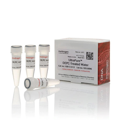 4483. AGUA TRATADA C/DEPC ULTRAPURE 4 X 100ML - INVITROGEN