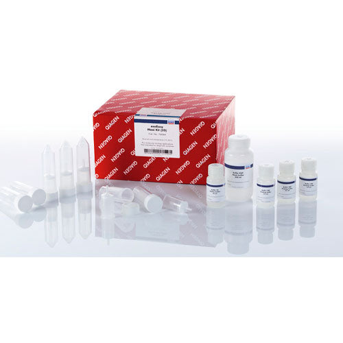 24593. KIT DE PURIFICACION DE EXOSOMAS EXOEASY MAXIKIT 20 PREPARACIONES QIAGEN