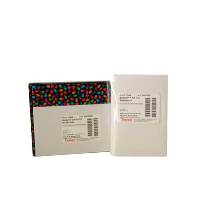 53235. MEMBRANA FILTRANTE NYLON 0.45UM HOJA 8X12CM BIODYNE A - PIERCE