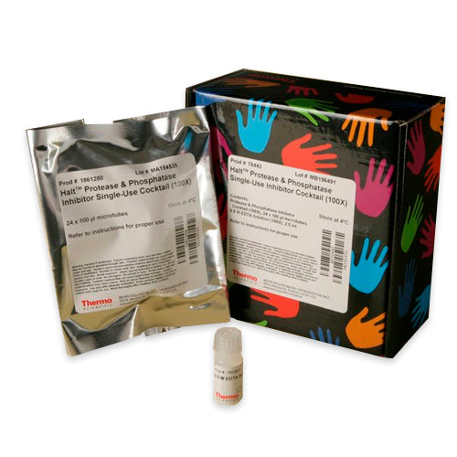 52956. HALT PROTEASE AND PHOSPHATASE INHIBITOR SINGLE-USE COCKTAIL (100X) 24X100UL - PIERCE