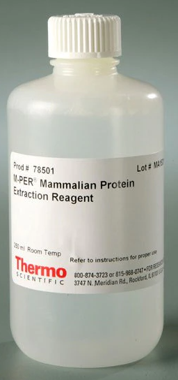 53393. M-PER MAMMALIAN PROTEIN EXTRACTION REAGENT 250ML - PIERCE