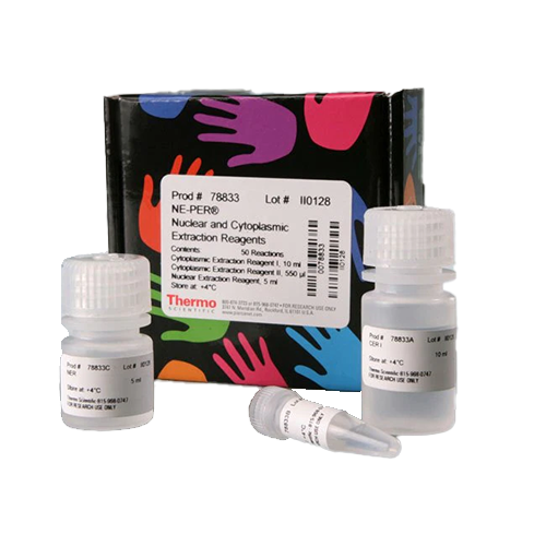 5596. REACTIVOS DE EXTRACCION NUCLEAR Y CITOPLASMATICA NE-PER 15ML - THERMO SCIENTIFIC