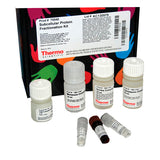53232. SUBCELLULAR PROTEIN FRACTIONATION KIT FOR CULTURED CELLS 35ML - PIERCE