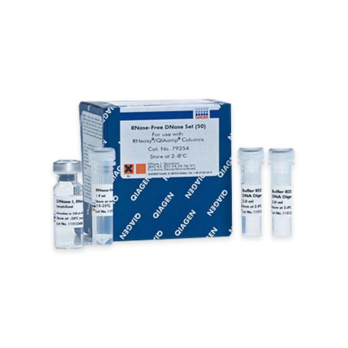 12743.SET DE DNASAS LIBRES DE RNASAS 50 MINIPREPS - QIAGEN