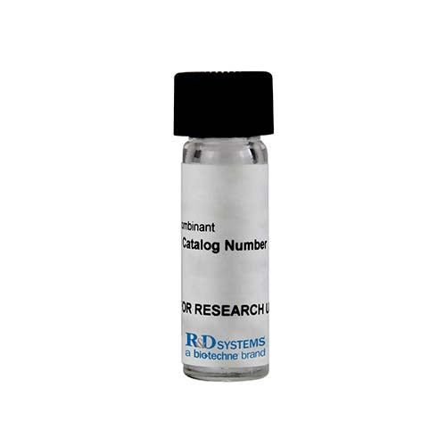 22695. RECOMBINANT MOUSE ICAM-1/CD54 FC CHIMERA PROTEIN CF 50UG R&D SYSTEMS