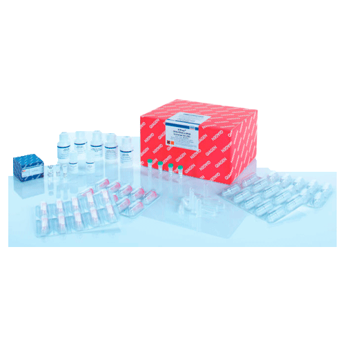 53993. KIT UNIVERSAL DE ADN/ARN/MIARN ALLPREP 50 PREPARACIONES QIAGEN