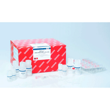53941. MICRO KIT DE PURIFICACION SIMULTANEA DNA/RNA 50 MINIPREPS QIAGEN