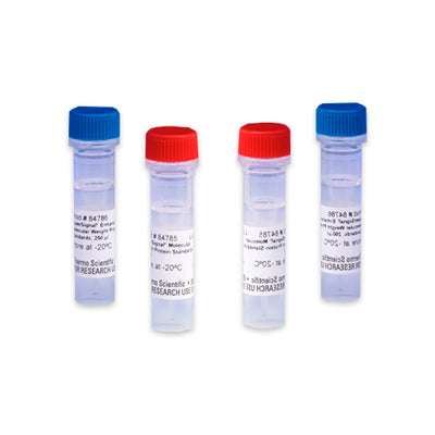 53231. SUPERSIGNAL MOLECULAR WEIGHT PROTEIN LADDER 250UL - PIERCE